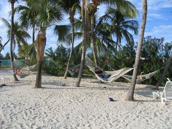 Hammock Time.jpg